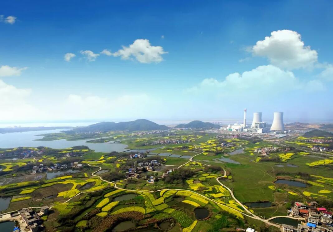 �񻪹����Ž��糧