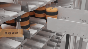 ×Ô¶¯³ö¿â£¬×Ô¶¯µ÷Ñù