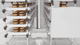 ʵ��������