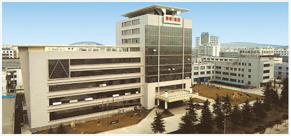 BG�����й���½����