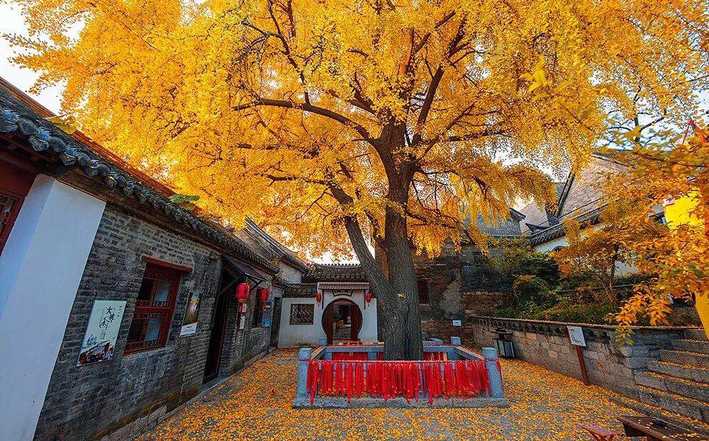 BG�����й���½������Ϳ������