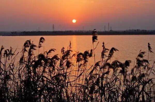 BG�����й���½������Ϳ������