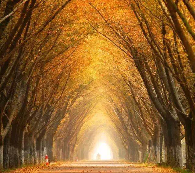 BG�����й���½������Ϳ������